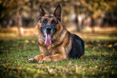 Similar image 5747355