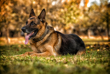 Similar image 5747358