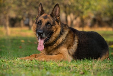 Similar image 5747360