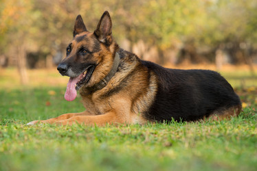 Similar image 5747362