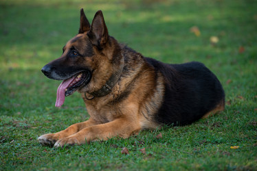 Similar image 5747363