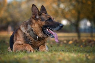 Similar image 5747385