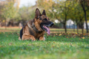 Similar image 5747393