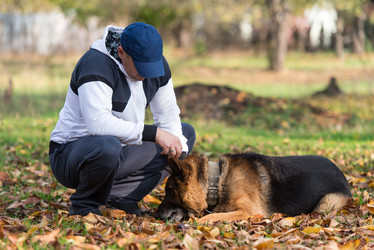 Similar image 5747395