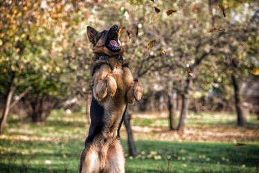 Similar image 5747409