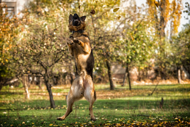 Similar image 5747410