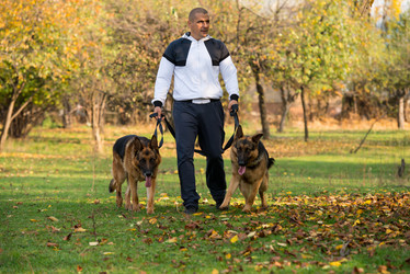 Similar image 5747481