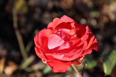 Similar image 5747559