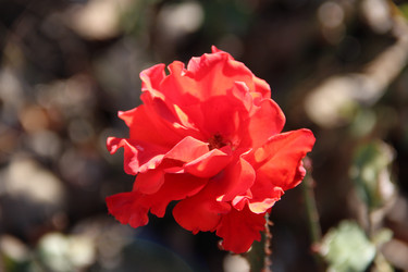 Similar image 5747560