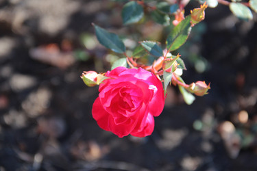 Similar image 5747562