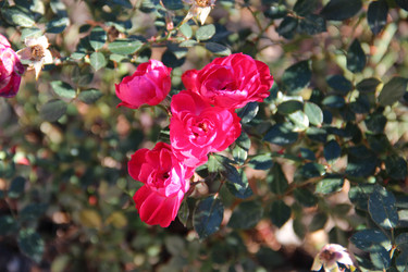 Similar image 5747563