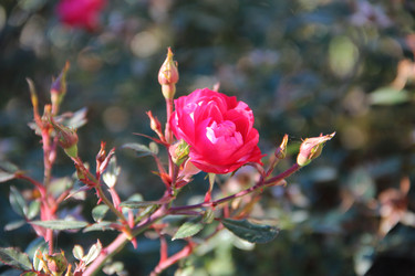 Similar image 5747565