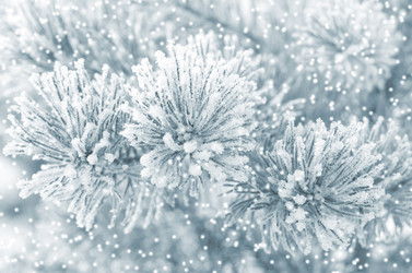 Similar image 5747578