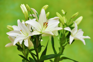 Similar image 5747588