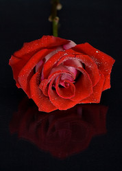 Similar image 5747589