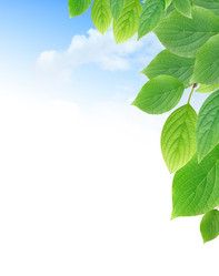 Similar image 5747611