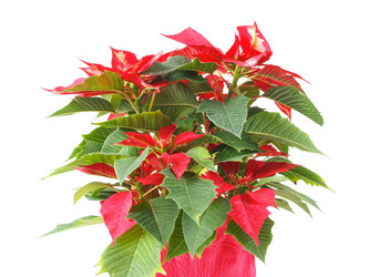 Similar image 5747836