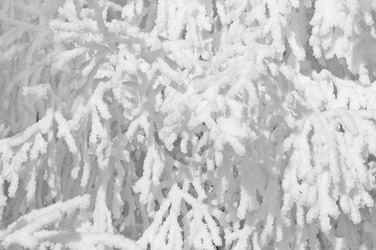 Similar image 5747969