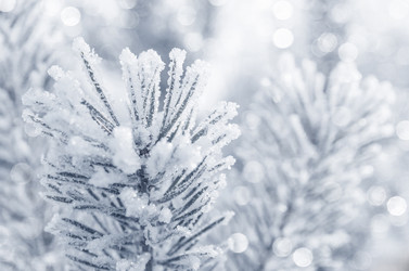 Similar image 5748078