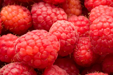 Similar image 5748129