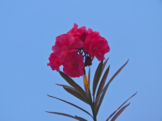 Similar image 5748141