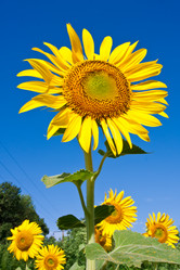 Similar image 5748170