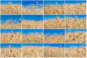 Similar image 5748195