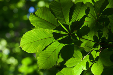 Similar image 5748197