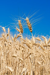 Similar image 5748249