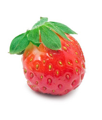 Similar image 5748262