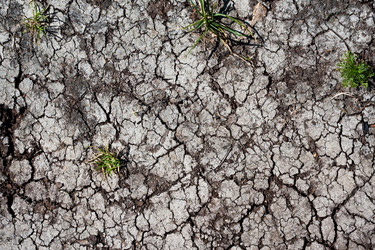 Similar image 5748263