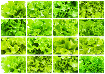 Similar image 5748267