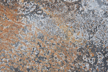 Similar image 5748274