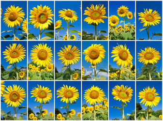 Similar image 5748303