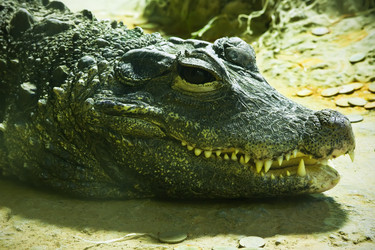 Similar image 5748338