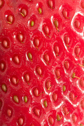 Similar image 5748344