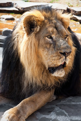 Similar image 5748351