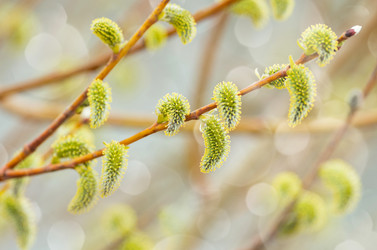 Similar image 5748405