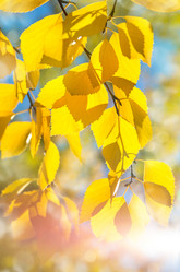 Similar image 5748406