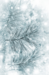 Similar image 5748408