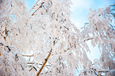 Similar image 5748423