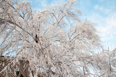 Similar image 5748424