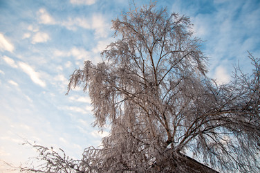 Similar image 5748425