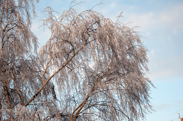 Similar image 5748426