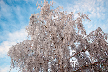 Similar image 5748429