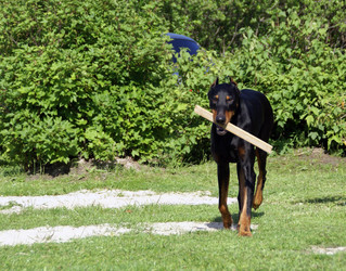 Similar image 5748455