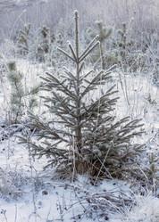 Similar image 5748458