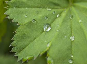 Similar image 5748460