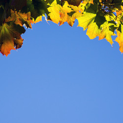 Similar image 5748461