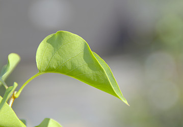 Similar image 5748467